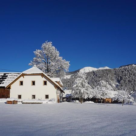 Апартаменты Ferien Am Land - Waldbauer Рослайтен Экстерьер фото