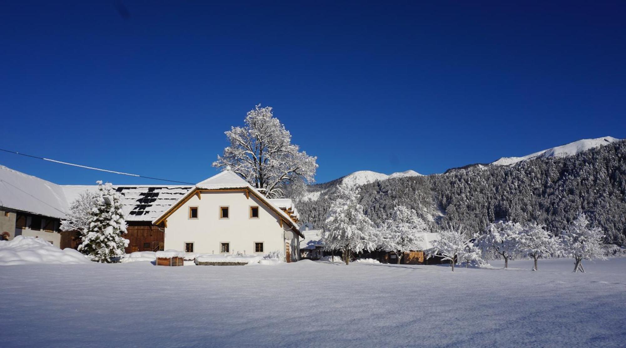 Апартаменты Ferien Am Land - Waldbauer Рослайтен Экстерьер фото